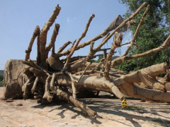 Ảnh bìa bài viết 529045