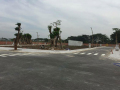 Ảnh bìa bài viết 529166