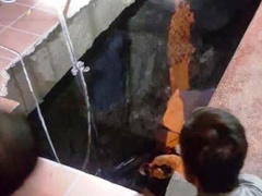 Ảnh bìa bài viết 529173