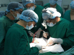 Ảnh bìa bài viết 529089