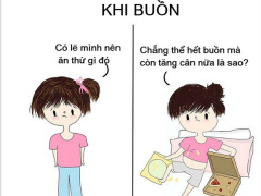 Ảnh bìa bài viết 529004