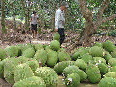 Ảnh bìa bài viết 529124