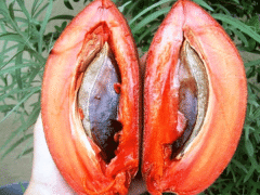 Ảnh bìa bài viết 528959