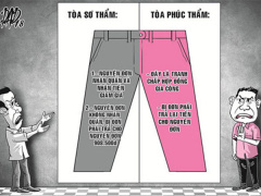 Ảnh bìa bài viết 529001