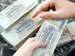 Ảnh bìa bài viết 529574