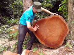 Ảnh bìa bài viết 529709