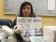 Ảnh bìa bài viết 529688