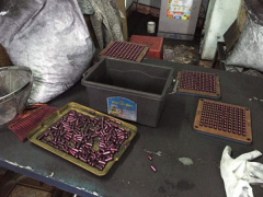 Ảnh bìa bài viết 529617