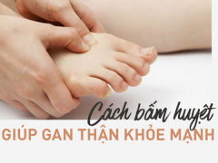 Ảnh bìa bài viết 529962