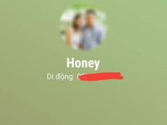 Ảnh bìa bài viết 530058