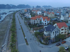 Ảnh bìa bài viết 530141