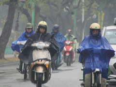 Ảnh bìa bài viết 530314