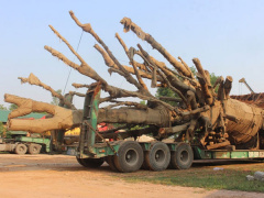 Ảnh bìa bài viết 530808