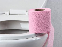 Ảnh bìa bài viết 530644