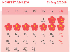 Ảnh bìa bài viết 531404