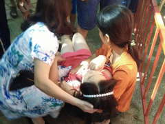 Ảnh bìa bài viết 531385