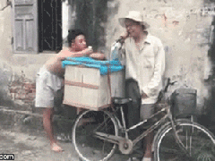 Ảnh bìa bài viết 531334