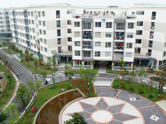 Ảnh bìa bài viết 531485