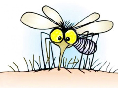 Ảnh bìa bài viết 532000