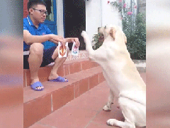 Ảnh bìa bài viết 531872