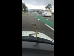 Ảnh bìa bài viết 531957