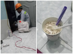 Ảnh bìa bài viết 531894