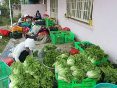 Ảnh bìa bài viết 532212