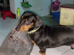 Ảnh bìa bài viết 532259