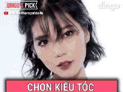 Ảnh bìa bài viết 532134
