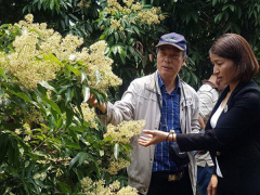 Ảnh bìa bài viết 532161