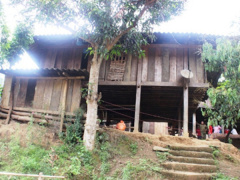 Ảnh bìa bài viết 532366