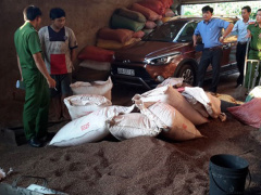 Ảnh bìa bài viết 532087