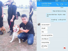 Ảnh bìa bài viết 532185