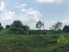 Ảnh bìa bài viết 532558