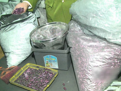 Ảnh bìa bài viết 532685