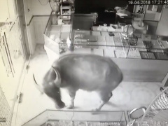 Ảnh bìa bài viết 532557