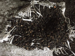 Ảnh bìa bài viết 532709