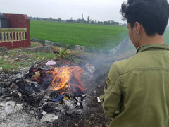 Ảnh bìa bài viết 533014