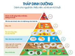 Ảnh bìa bài viết 532990