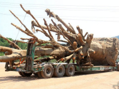 Ảnh bìa bài viết 533161