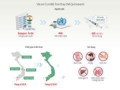 Ảnh bìa bài viết 533218