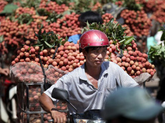 Ảnh bìa bài viết 533328
