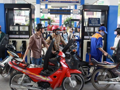 Ảnh bìa bài viết 533538
