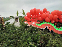 Ảnh bìa bài viết 533482