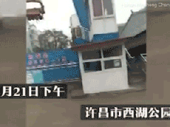 Ảnh bìa bài viết 533537
