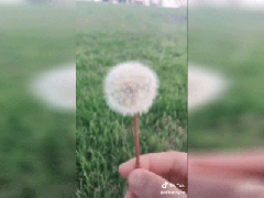 Post cover 533734