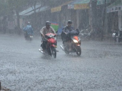 Ảnh bìa bài viết 533756