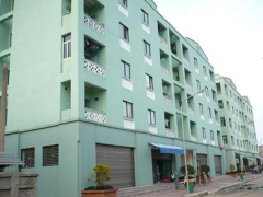 Ảnh bìa bài viết 533982