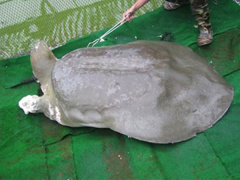 Ảnh bìa bài viết 533765