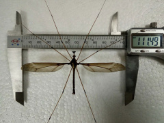 Ảnh bìa bài viết 533885